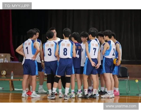 杭州排球队在排球比赛中创下新高经验排名引发关注与期待