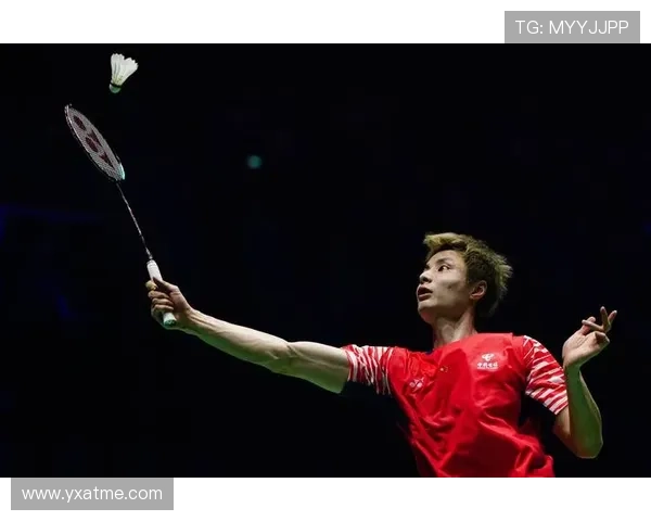 深圳羽毛球队在欧锦赛中的灵活性表现分析与启示